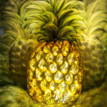 Pineapple original on aluminum 16"x20"