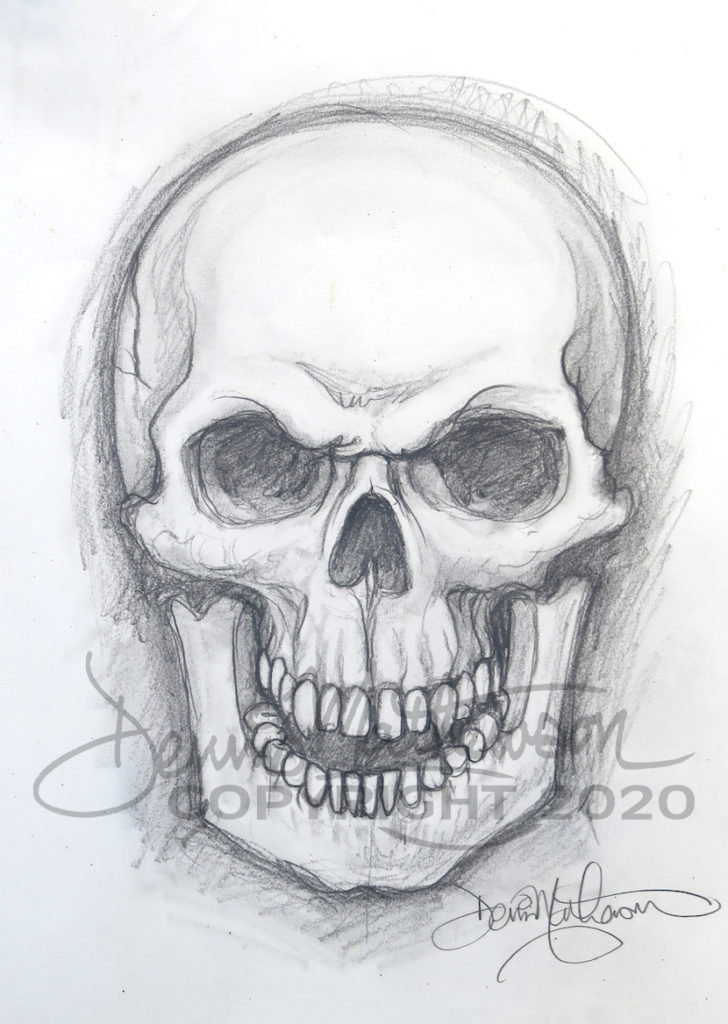 Skull 10x14 original pencil drawing - Dennis Mathewson Art