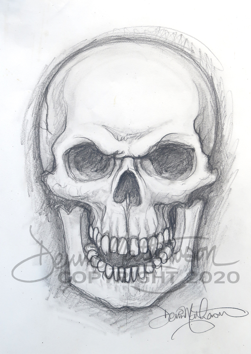 drawings in pencil of skulls
