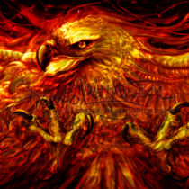 Phoenix Bird Of Fire