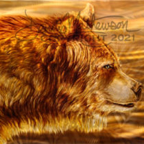 Copper Grizzly