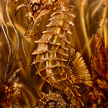 Copper Seahorse Reef-wm