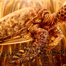 Honu Vision