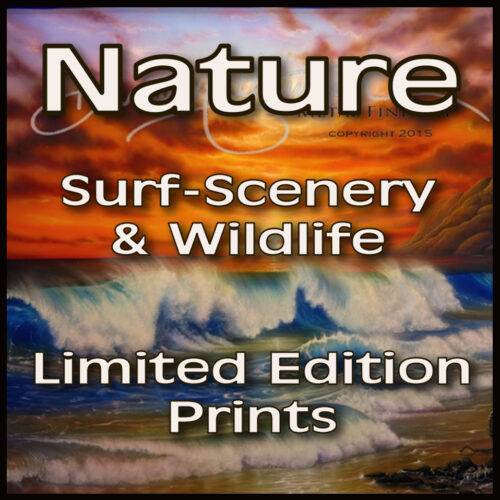 Nature, Surf-Scenery & Wildlife