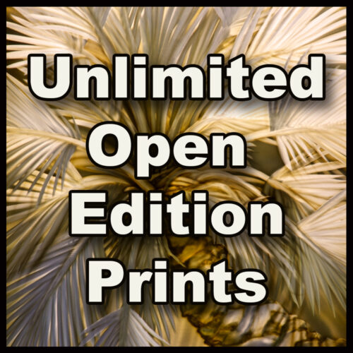 Open Edition Unlimited Prints