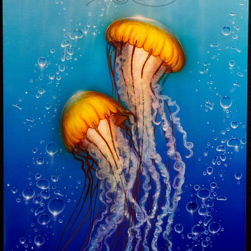 Rain Or Shine Jellies-original art on canvas