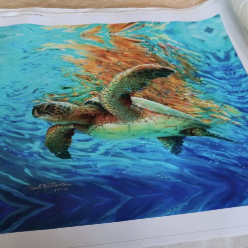 Escape- limited edition canvas roll print-SALE