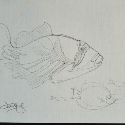 Humu Iki 25 original pencil drawing
