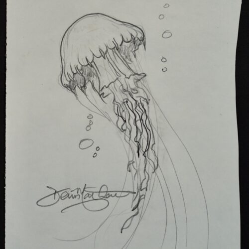 Jelly #10 Iki 25 original pencil drawing