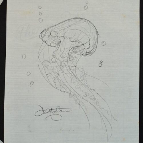 Jelly #12 Iki 25 original pencil drawing