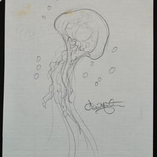 Jelly #11 Iki 25 original pencil drawing