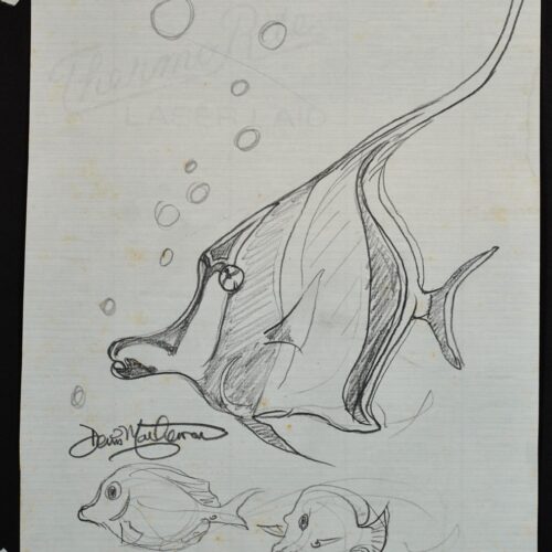 Moorish Idol Iki 25 original pencil drawing