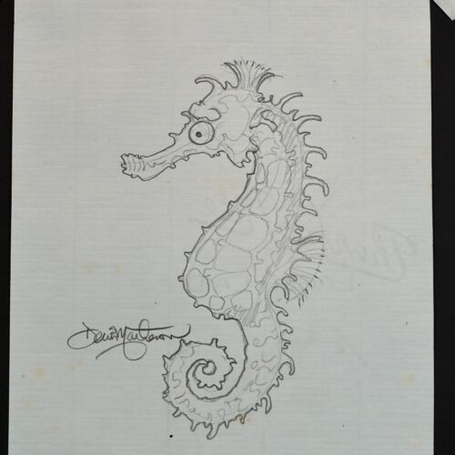 Sea Horse Iki 25 original pencil drawing