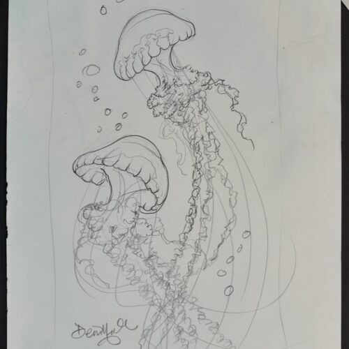 Two Jellies IKI 25 original pencil drawings